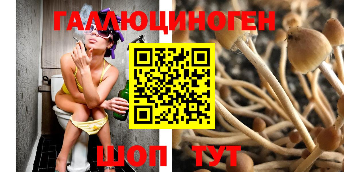 Уссурийск  Галлюциногенные грибы прущие грибы  Вход с VPN 