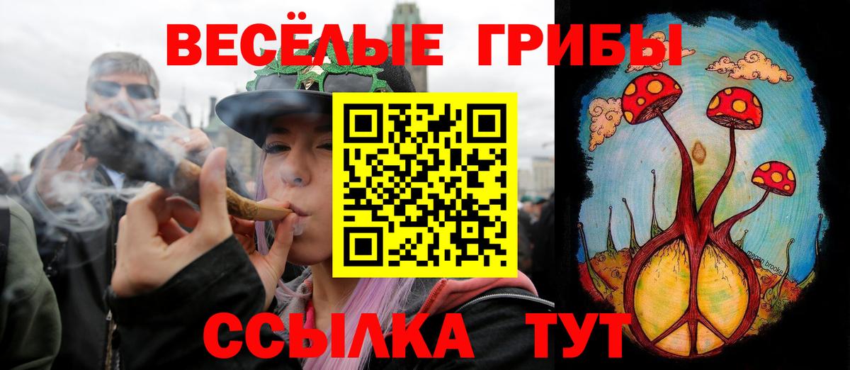 Галлюциногенные грибы Cubensis Уссурийск